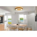 (Orb-Vl7) Uzaktan Kumandalı Ledli Tavan Vantilatörü 25W Dc Motor 55W LED Sarı 3000K-6500K Beyaz