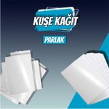 Orbak Kağıt Paspas A4 170 gr Parlak Kuşe Kağıt – 100 Yaprak – Profesyonel Baskı Kağıdı – 1,06 kg - 41 Delft Blue