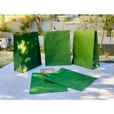Orbak Kağıtçılık 1.kalite 18X8X24 cm 1’ Li Yeşil Renkli Kraft Kağıt Çanta, Hediye Poşeti, Hediye Paketi, Kraft Çanta - 1 Adet