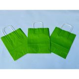 Orbak Kağıtçılık 1.kalite 18X8X24 cm 3’ Lü Yeşil Renkli Kraft Kağıt Çanta, Hediye Poşeti, Hediye Paketi, Kraft Çanta - 3 Adet