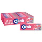 Orbit Karpuz Aromalı Şekersiz Sakız 14 G (1 Kutu)