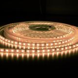 Orbus Gün Işiği 8W 5 mt Hortum Şerit Led