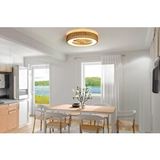 Orbus (ORB-VL7) Uzaktan kumandalı ledli tavan vantilatörü 25w dc motor 55w led sarı 3000k-6500k beyaz ŞEFFAF PERVANE, AHŞAP GÖRÜNÜMLÜ PLASTİK FAN KAPAĞI, HASIR AYARLANABİLİR YAN SEPET