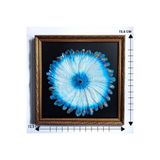 Orche Mavi Tüy Desenli Nazar Boncuğu Tema Kare Çerçeve Rölyef Tablo 72,5 cm x 72,5 cm Duvar Dekoru Turkuaz Siyah Altın Beyaz Eskitme 72 x 72