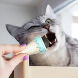 Orden Yaşam Dondurma Şeklinde Kedi Nanesi Kedi Otu