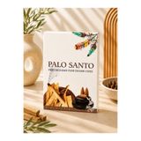 OrdoVeni Palo Santo Ağacı Kokulu 10 Adet Geri Akış Tütsü | Backflow Şelale Tütsüsü | Kalıcı Oda Kokusu | Ev, Ofis, Yoga ve Meditasyon İçin