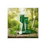 Orecare Herbal Toothpaste - Bitkisel Diş Macunu