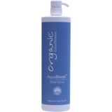 Organic Colour Systems Organic Colour Sytems Organic Colour Aqua Boost Nem Şampuanı 1000 Ml