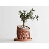 Organic Planter Dekoratif Saksı - Kök Detaylı Modern Bitki Saksısı 12 cm - Kızıl - 147x147x120mm