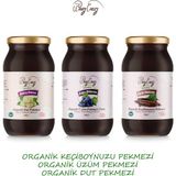 Organic Windy Valley Pekmez Seti Soğuk Sıkım Katkısız Şeker ilavesiz (3'lü Set ) Organic Windy Valley Üzüm Pekmezi 460gr,Dut Pekmezi 460gr,Keçi Boynuzu Pekmezi 380gr - 1 Adet