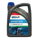 Organik 3 Lt G-12 Antifriz Mavi -56°c