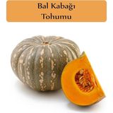 Organik Bal Kabağı Tohumu 1 Paket (10GR = 35 + Adet) Kabak Tohumu