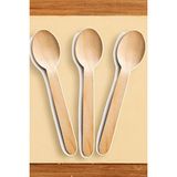 Organik Bal Kaşığı Baharat Kaşığı 6'lı Set Mini Kaşık