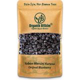 Organik Bitkim 1 kg Blueberry Yaban Mersini Kurusu