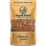Organik Bitkim Süpürge Otu Tohumu 1 KG
