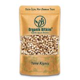 Organik Bitkim Tane Kişniş 1 kg