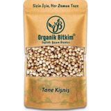 Organik Bitkim Tane Kişniş 100 gr