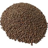 Organik Diri Mercimek 2.5 kg - 1 Adet