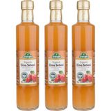 Organik Elma Sirkesi 500ML (2 Adet) - 0,5 L
