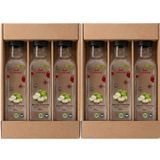 Organik Elma Suyu Konsanteresi 330g x 6 İşletme Boyu Avantajlı Paket