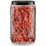 Organik Goji Berry Bi Kavanoz 660 Cc. Cam Kavanozda Katkısız Kuru Goji Berry Üzümü Pure Dried Goji Berries
