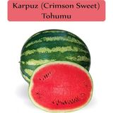 Organik Karpuz Tohumu 1 Paket (10GR=100+ Adet) Crimson Sweet Karpuz Tohumu