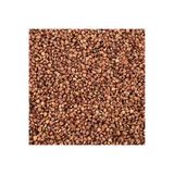 Organik Kiler Sumak Tane 250 g