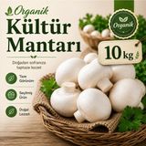 Organik Kültür Mantarı 10 kg