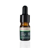 Organik Okaliptus Uçucu Yağı (Eucalyptus Globulus) - Buhar Distilasyonu ile Elde Edilmiş Saf Aromaterapi Yağı - Cilt, Saç, Masaj ve Difüzör Kullanımı
