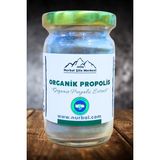 Organik Propolis Toz Ekstrak 50 gr