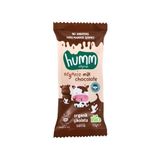 Organik Sütlü Çikolata - 13g