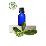 Organik Tamanu Yağı 20 ml. Saf Soğuk Pres