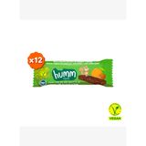 Organik Vegan Kayısılı ve Fındıklı Yulaf Bar Atıştırmalık Paketi - 12 adet