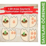 Organik Yolda 1-20 Arası Sayılarla Yumurtaları Eşleştirme (10 Sayfa A4 Boyut)
