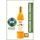 Organik Zerdeçal Ve Zencefil Özlü Elma Sirkesi (250 Ml )