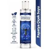 Organy Papatya suyu Hidrosolü Doğal Saç Rengi Açıcı %100 Doğal Saç Bakım Toniği Chamomile Hydrosol 100 ml