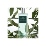 Oriflame Men's Collection Wild Green EdT Erkek Parfümü, Adaçayı, 100ml
