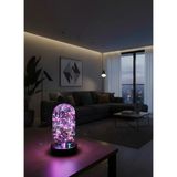 Orijinaldükkan LED Işıklı Ters Fanus 3 Metre Peri Tel ile Birlikte Rgb Renkli Teraryum Dekoratif Organizasyon - Çok Renkli