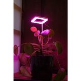 Orion Led Bitki LED Lamba 5V USB Pembe Renk Tam Spektrumlu Kare Bitki Yetiştirme Işığı 8W Özellikli
