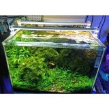 Orionled Akvaryum LED Aydınlatma Daylight 80CM 3000K - Option-1