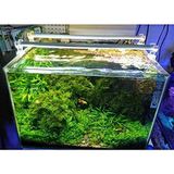 OrionLed Beyaz 60 cm 6500K Akvaryum Led Aydınlatma