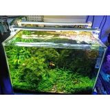 OrionLed Daylight 40 cm 3000K Akvaryum Led Aydınlatma