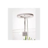 ORİONLED Fanus & Nano Akvaryum Led Aydınlatma Spiral ( Ghoosneck ) 5v