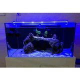 OrionLed Mavi 50 cm Akvaryum Led Aydınlatma