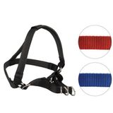 Oripet Tasma Yumuşak Dokulu Köpek Bel Tasması No:2 5-7kg Köpeklere