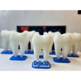 ORJIN3D Kişiye Özel Tasarlanabilir Diş Şeklinde Kartvizitlik - Beyaz