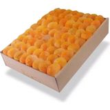 Orka Eys Kuru Kayısı No:1 5 kg