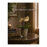Orkide Cam Saksı Seti / Dekoratif Orkide Saksısı 2 Adet