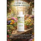 Orkide Çiçek Besini & Salon Bitkileri İçin – Güçlü Dal Gelişimi, Uzun Süreli Çiçeklenme 100 Ml