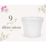 Orkide Dikim Saksısı 9 Pot (Cm) - - - --